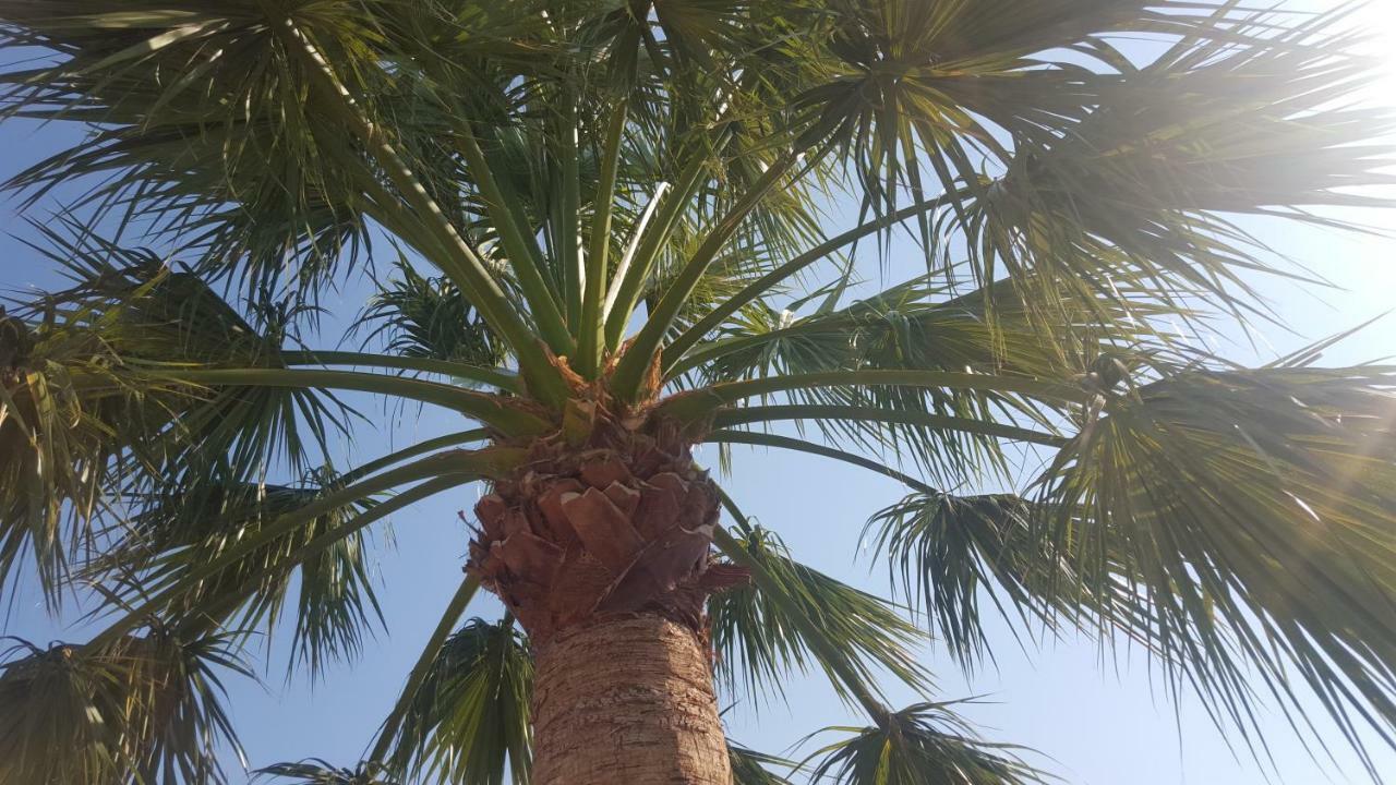 Estudio En Теулада Экстерьер фото